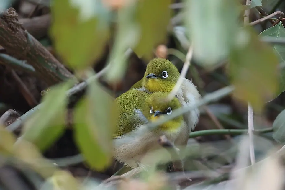 KakaoTalk_20250218_100136630_02.jpg?type=w966