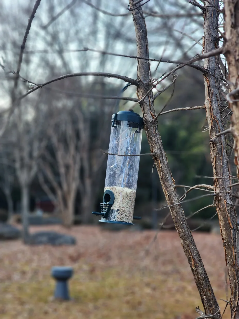 KakaoTalk_20250218_100136630_07.jpg?type=w966