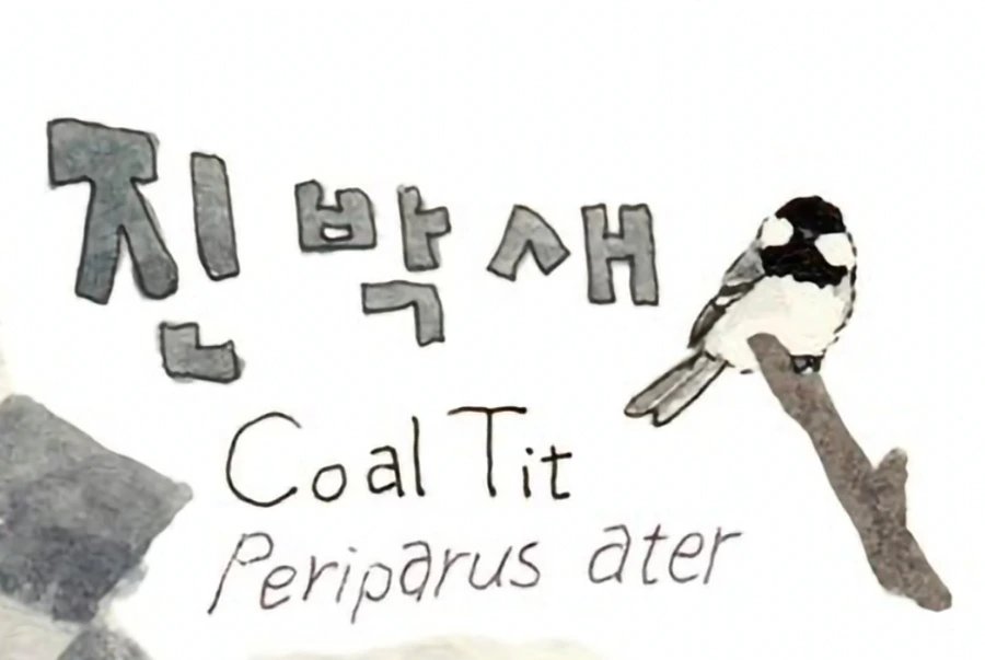 900%EF%BC%BFScreenshot%EF%BC%BF20251220%EF%BC%BF215556%EF%BC%BFGallery.jpg?type=w1