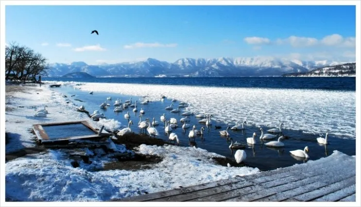 1072134426_x.jpg?type=w2