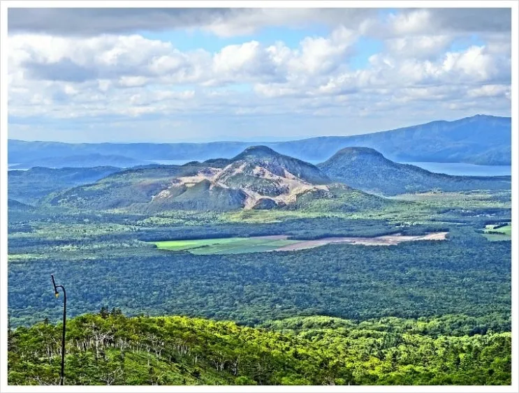 1280px-Atsosa_Nupuri-201709.jpg?type=w2