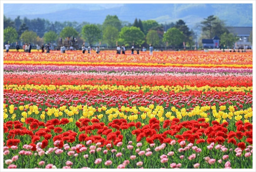 SE-29c8080d-81cd-4b40-be9a-f8e756a5b657.jpg?type=w1