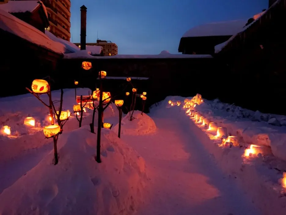 OTA201902151735-973x730.jpg?type=w1