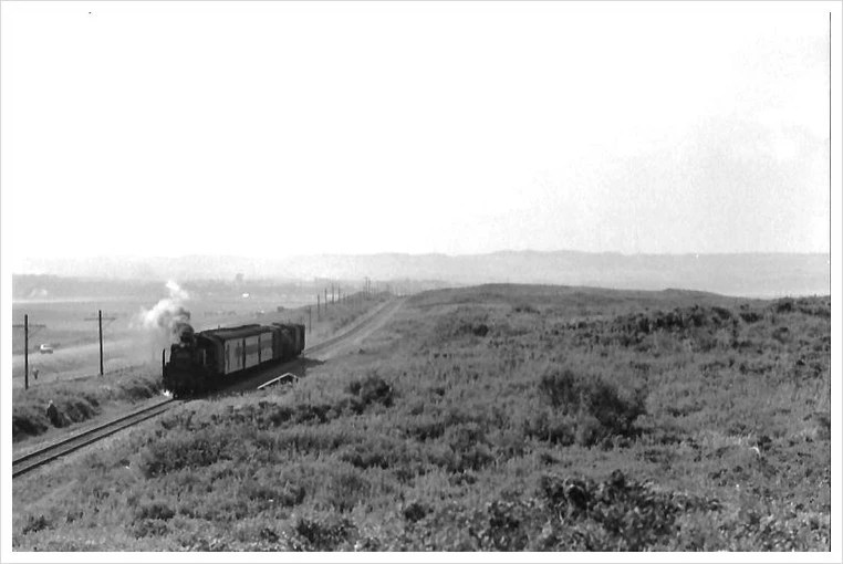 %EC%84%BC%EB%AA%A8%EB%B3%B8%EC%84%A03.jpg?type=w1