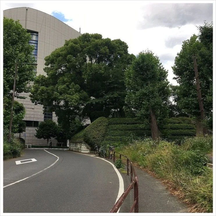 %EC%BF%A0%EC%9D%B4%EC%B9%98%EA%B0%80%EC%9D%B4%EB%AC%B8.jpg?type=w2