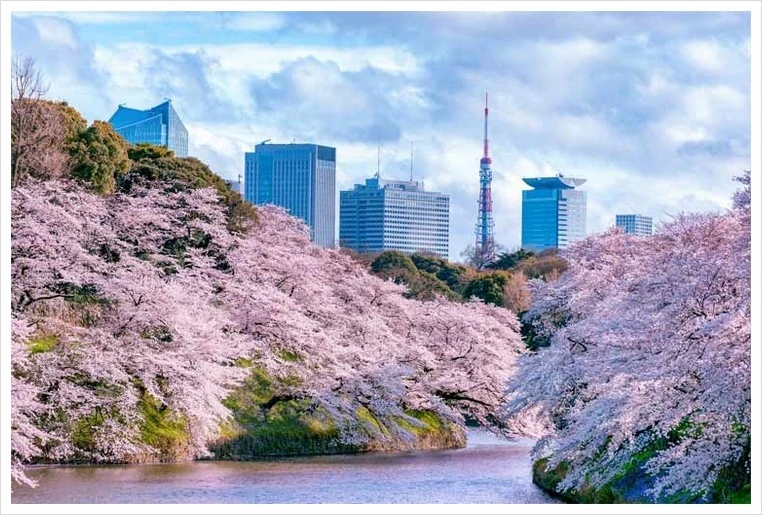 chidorigafuchi01.jpg?type=w1