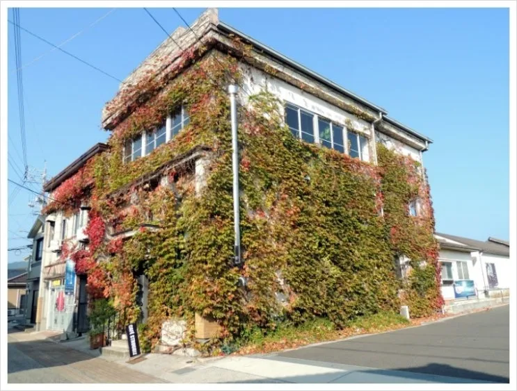 DSCN9715.JPG?type=w2