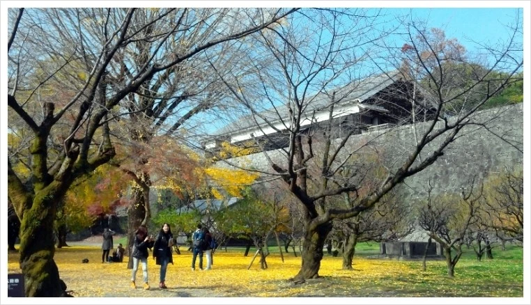 20141203_122128.jpg?type=w1