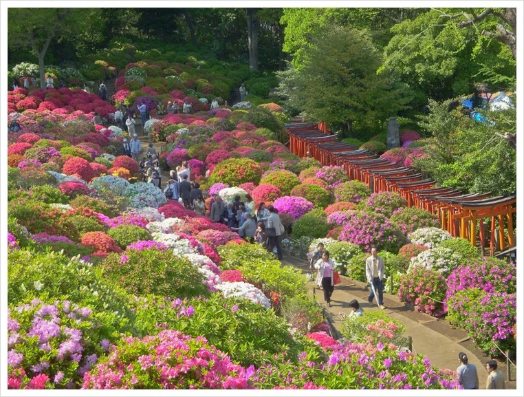 %EC%B2%A0%EC%AD%89_%EC%B6%95%EC%A0%9C.jpg?type=w1