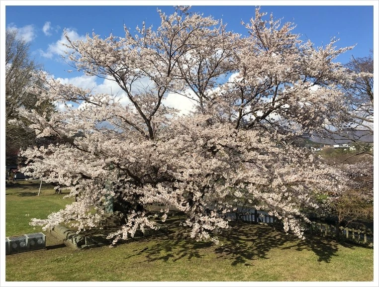 KakaoTalk_20210428_092614122_07.jpg?type=w1