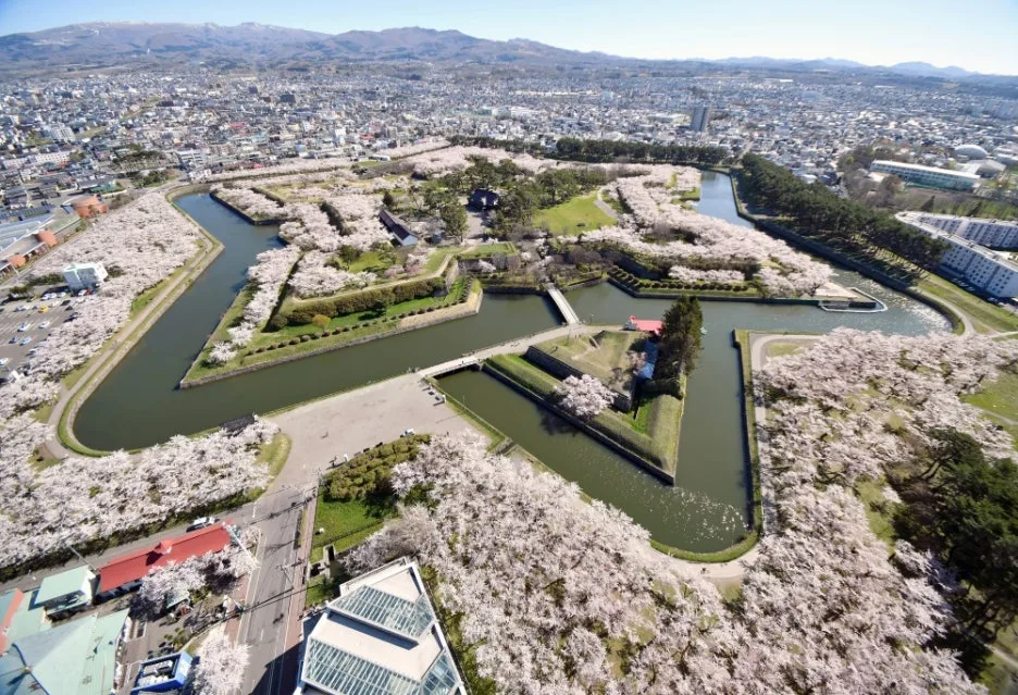 %EA%B3%A0%EB%A3%8C%EA%B0%80%EC%BF%A01.jpg?type=w1