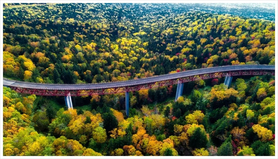 SE-90bb158a-7dfb-45d1-b234-a0371708f860.jpg?type=w1