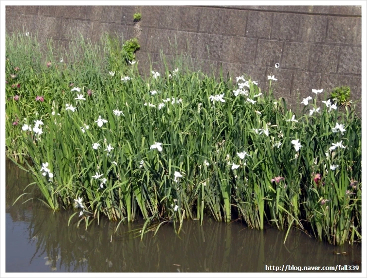 dscn1680_fall339.jpg?type=w2