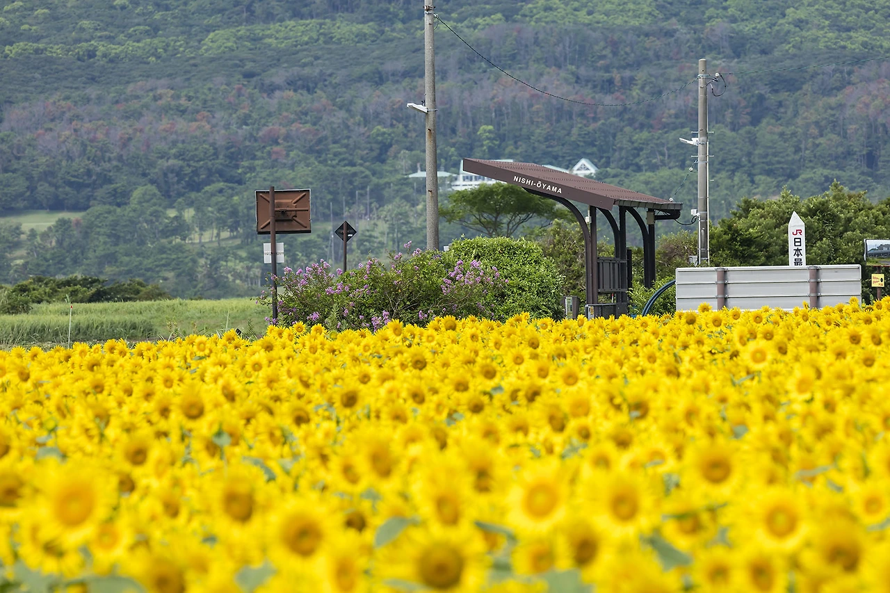 西大山駅 (5).jpeg