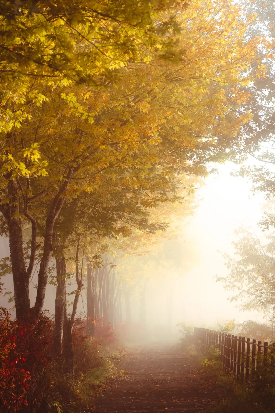 thumbnail_20240227_171311.jpg?type=w1