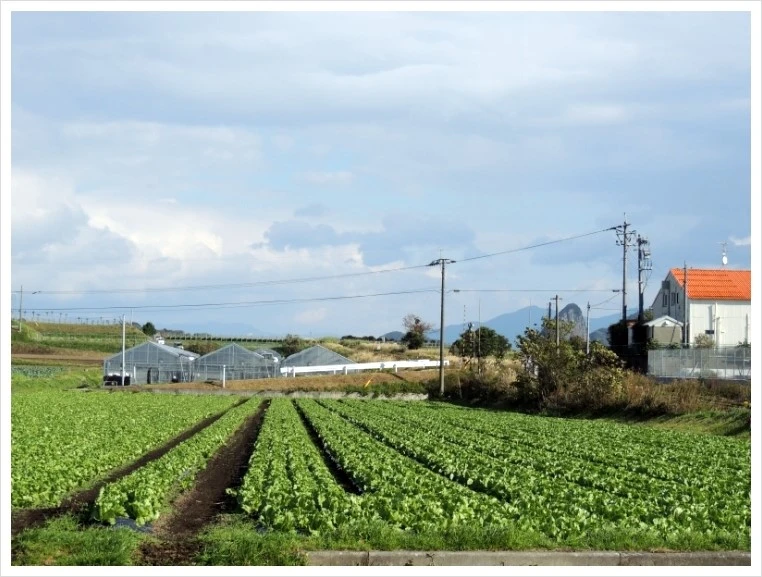 image.JPEG?type=w966