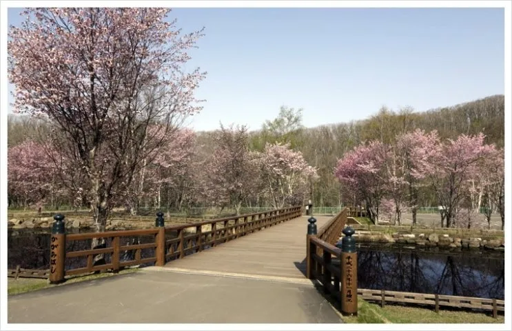 l_kagamibashi.jpg?type=w2