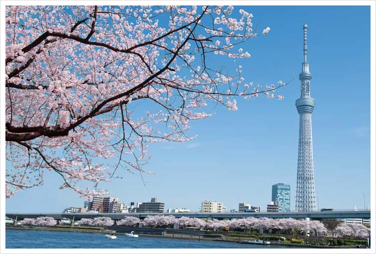 untitled21.png?type=w1