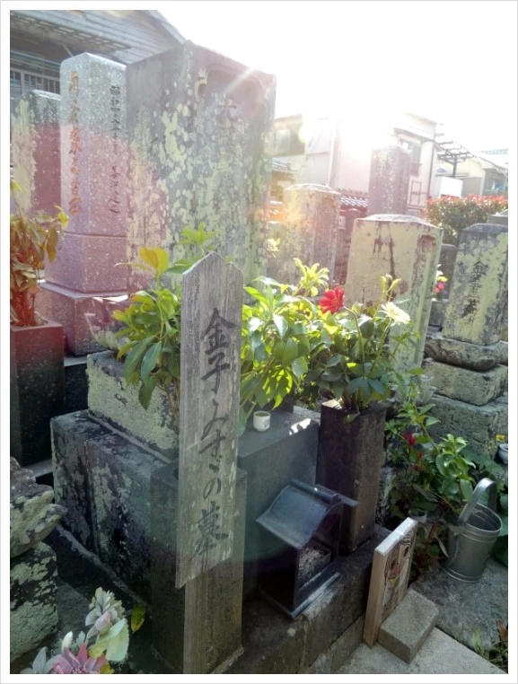 DSCN9738.JPG?type=w2