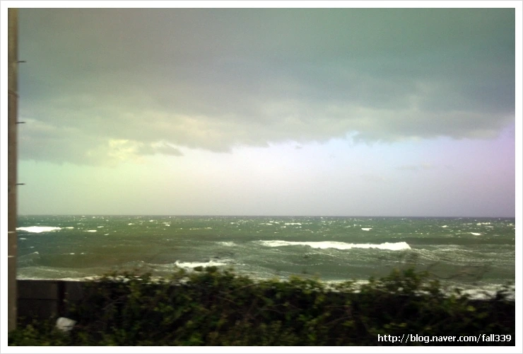 %EC%82%AC%EC%A7%84_004_fall339.jpg?type=w1