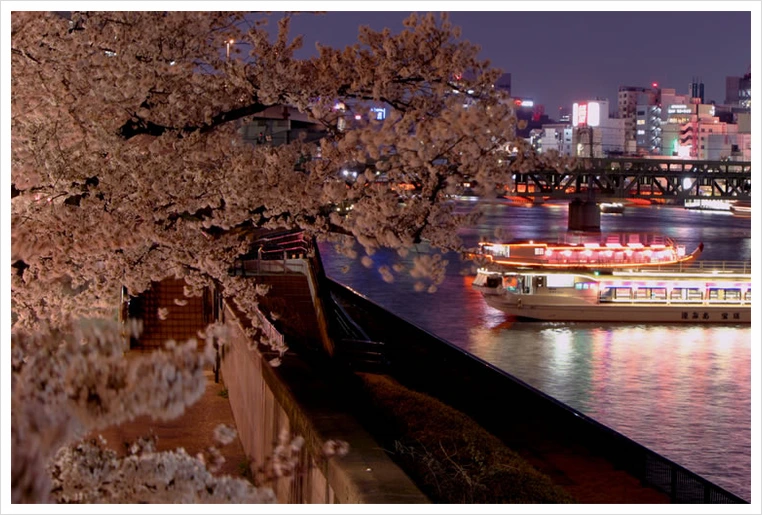 untitled22.png?type=w1