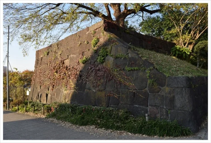 %EC%9A%94%EC%B8%A0%EC%95%BC%EB%AC%B8_%ED%9D%94%EC%A0%81.jpg?type=w2