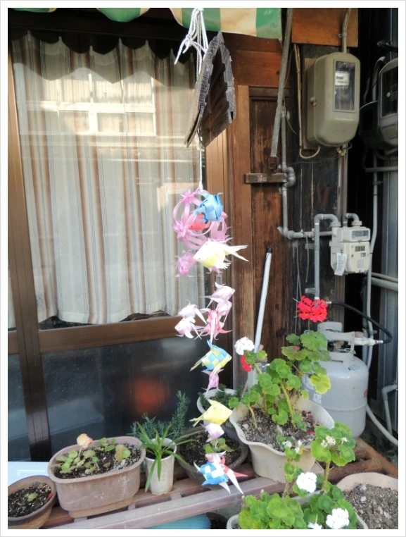 DSCN9714.JPG?type=w2