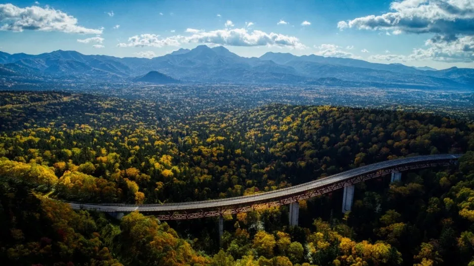 %EB%AF%B8%EC%BF%A0%EB%8B%88_%EA%B3%A0%EA%B2%8C4.jpg?type=w1