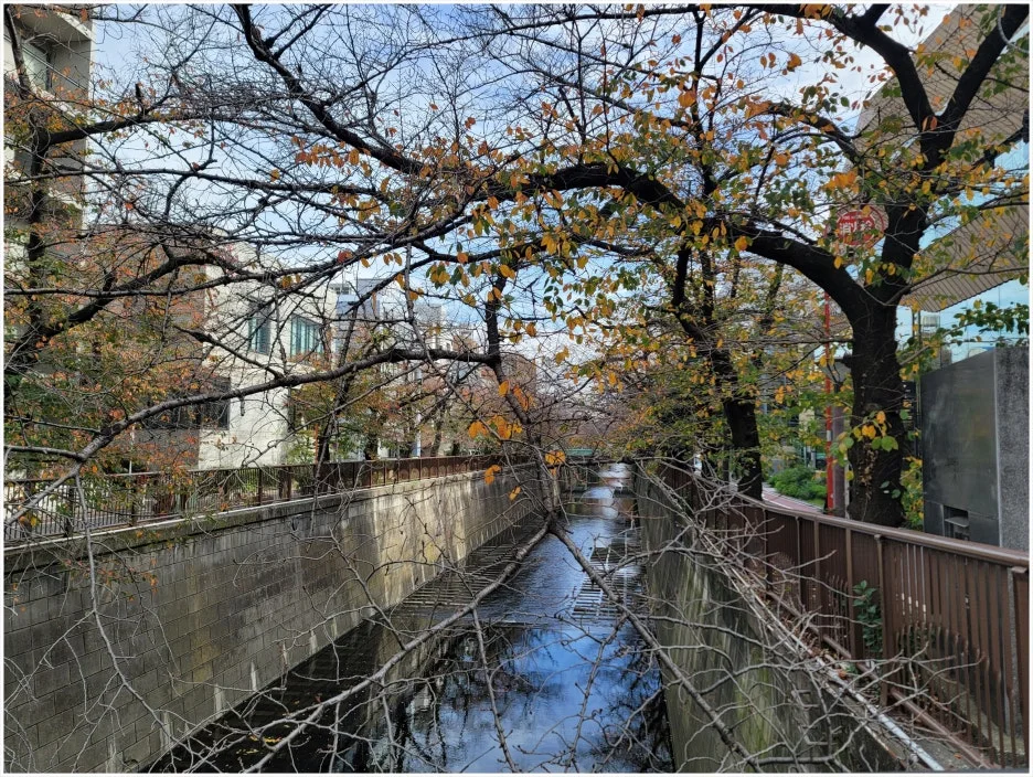 SE-97f8c40e-7fe0-40b9-ac8e-8db2af7a3455.jpg?type=w1