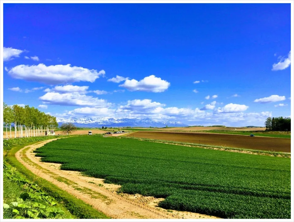 SE-c99a0d7a-6ba7-4c76-b054-d06574ecf2e4.jpg?type=w1