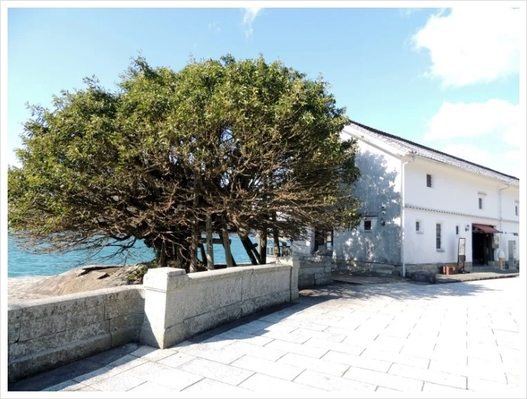 DSCN6763.JPG?type=w1