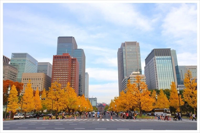 %EB%A7%88%EB%A3%A8%EB%85%B8%EC%9A%B0%EC%B9%985.jpg?type=w1