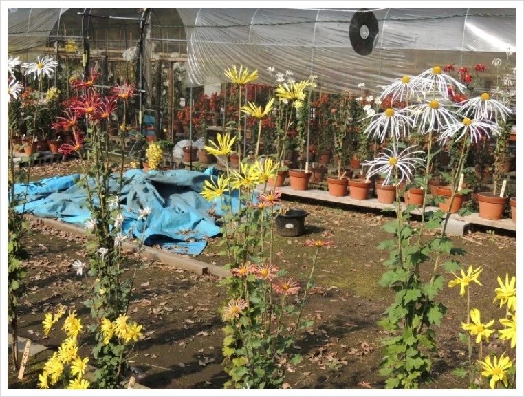 DSCN6106.JPG?type=w1