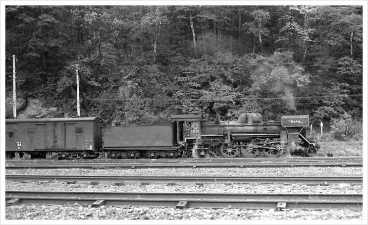 %EC%87%BC%EC%99%80_%EC%95%84%EB%B0%94%EC%8B%9C%EB%A6%AC1.jpg?type=w2