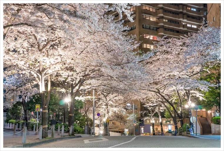 untitled78.png?type=w1