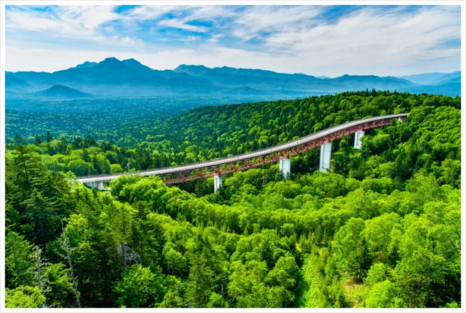 SE-04c2e92d-ac47-48ad-b238-a4f092fded68.jpg?type=w1