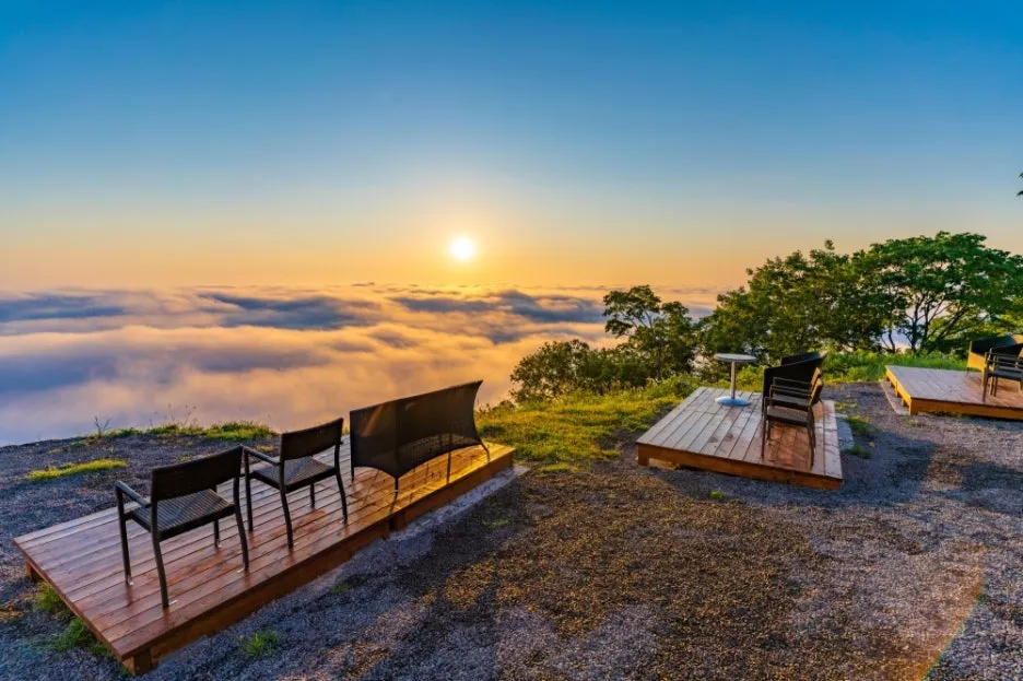 %EB%8D%B4%EA%B5%AC%EC%95%BC%EB%A7%88.jpg?type=w1