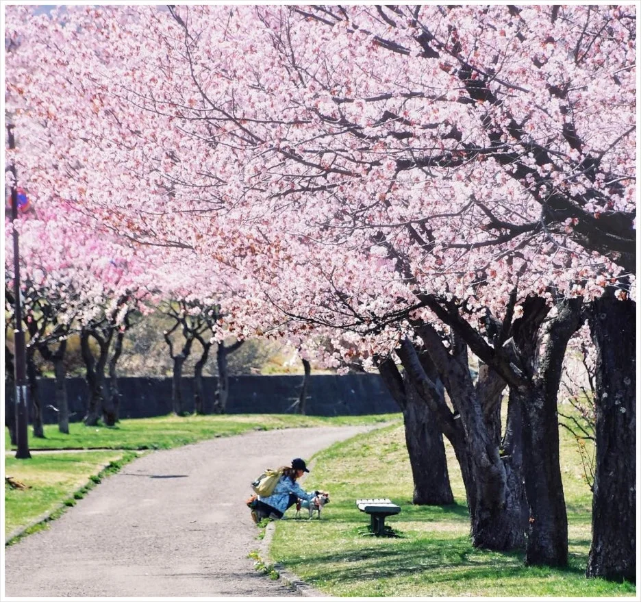 SE-e0b6ab6c-ef2d-4c35-b40f-a211044d624b.jpg?type=w1