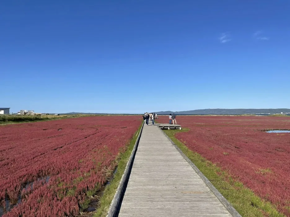 539617412_1387499293377624_2679253310737570021_n.jpg?type=w1