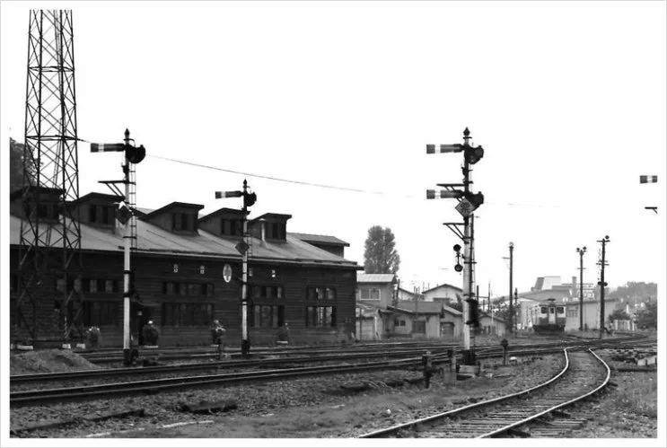 %EC%87%BC%EC%99%80_%EC%95%84%EB%B0%94%EC%8B%9C%EB%A6%AC.jpg?type=w2