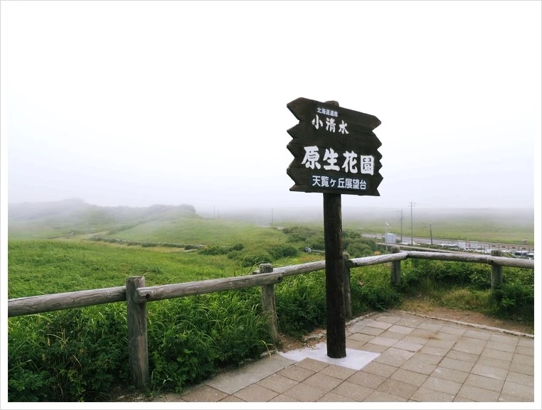 DSCN3665.JPG?type=w1