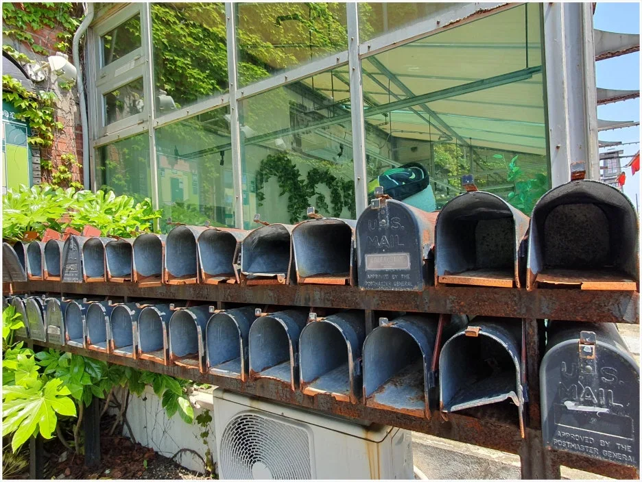 SE-ee8a58fb-305e-4b2d-b5e7-e3d6cf8b14e1.jpg?type=w1