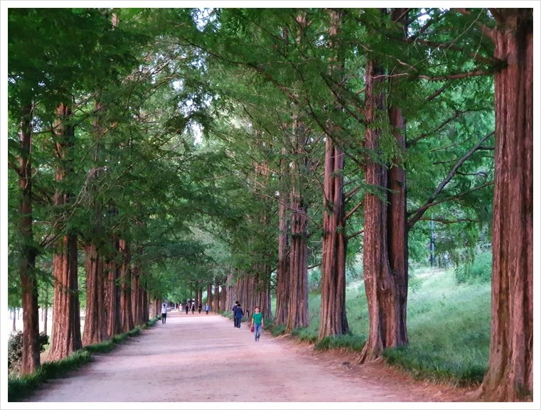 KakaoTalk_20220804_204506092_04.jpg?type=w1