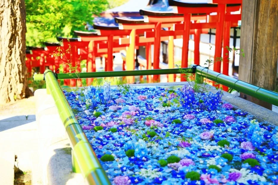 %EC%8A%A4%EB%AF%B8%EC%9A%94%EC%8B%9C_%EC%8B%A0%EC%82%AC.jpg?type=w1