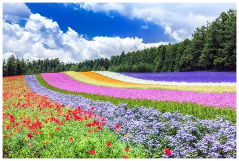 SE-1a5d2514-dbde-4770-b724-ec3c43f66f50.jpg?type=w773