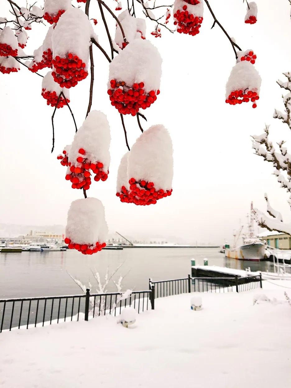 OTA202211241226-scaled.jpg?type=w1