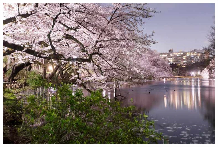 untitled34.png?type=w1