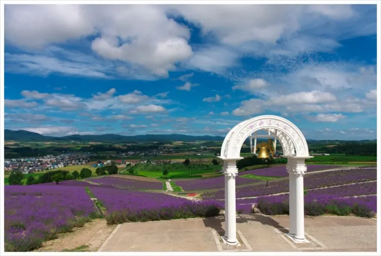 SE-92e56fb0-dae3-4333-9e78-67540420aa42.jpg?type=w773