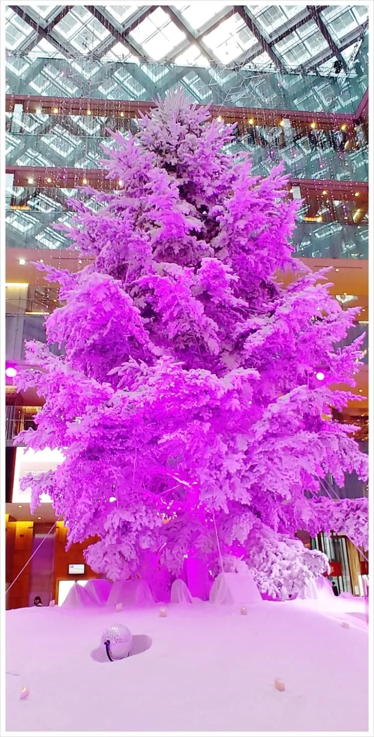 20181205_140201.jpg?type=w2