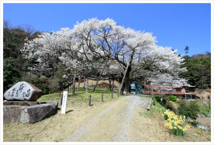 untitled.png?type=w2